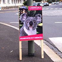 Gro&szlig;e Koalaition